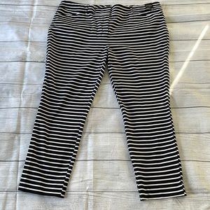 NWT Ankle Dress Pants (Plus Size)